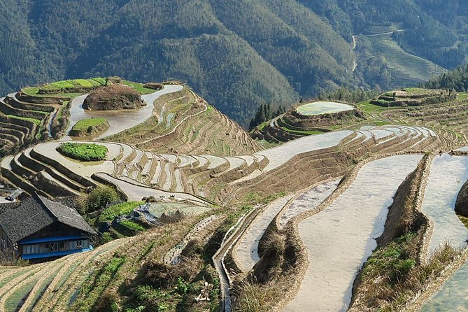 1-Day Longji Terrace Fields-Pingan village Tour with the English Speaking Driver - The return to Guilin, Yangshuo, or Xingping