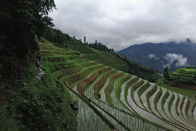 1-Day Longji Terrace Fields-Pingan village Tour with the English Speaking Driver - Four hours among the Dragon’s Backbone terraces