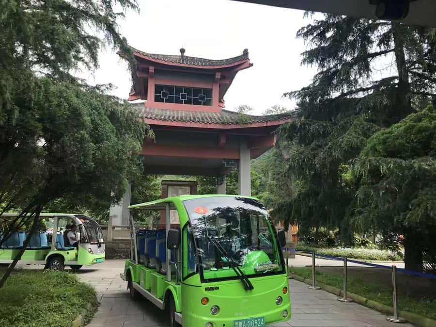 1-Day Mount Qingcheng and Dujiangyan Irrigation System Tour - From Taoist temples to Dujiangyan in 30 minutes