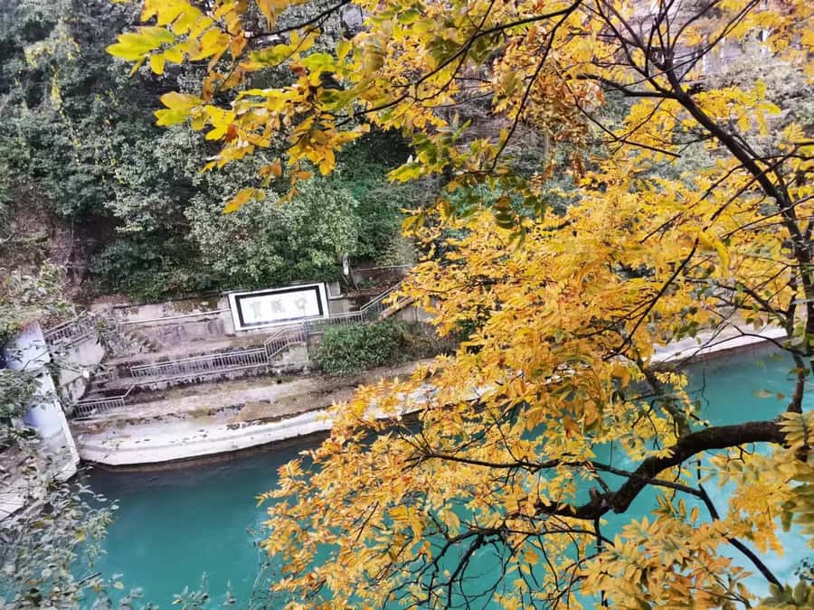 1-Day Mount Qingcheng and Dujiangyan Irrigation System Tour - Mount Qingcheng, the Taoist mountain