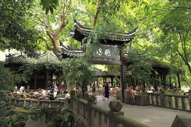 1-Day Panda Breeding Center plus Chengdu City Tour - An early morning at the Chengdu Panda Base