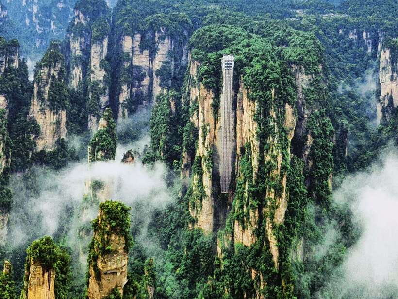 1-Day Private Tour to Zhangjiajie Highlights - Wildlife, plants, and the quieter details