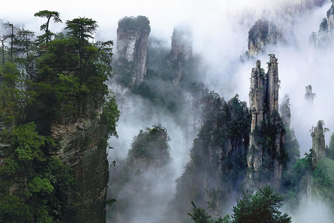 1-Day Private Tour to ZJJ National Forest Park & Avatar Mountain - Riding the 326-meter Bailong Elevator