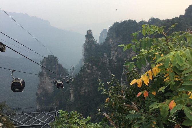 1-Day Private Tour to ZJJ National Forest Park & Avatar Mountain - Tianzi Mountain and the wide panorama