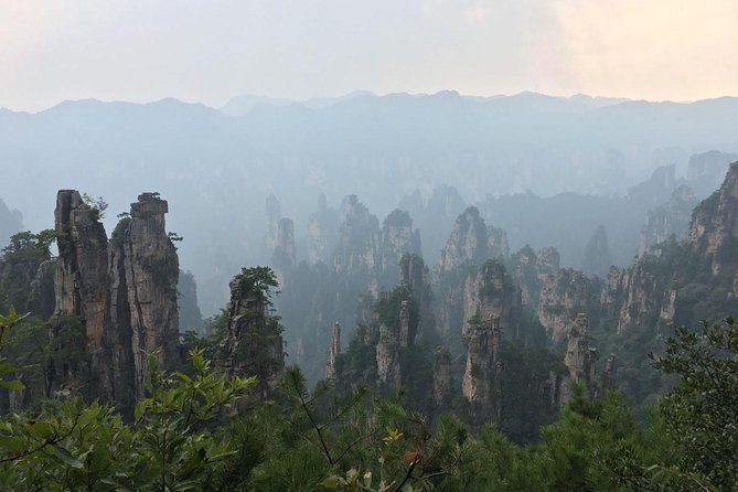 1-Day Private Tour to ZJJ National Forest Park & Avatar Mountain - Is $95 a good value?