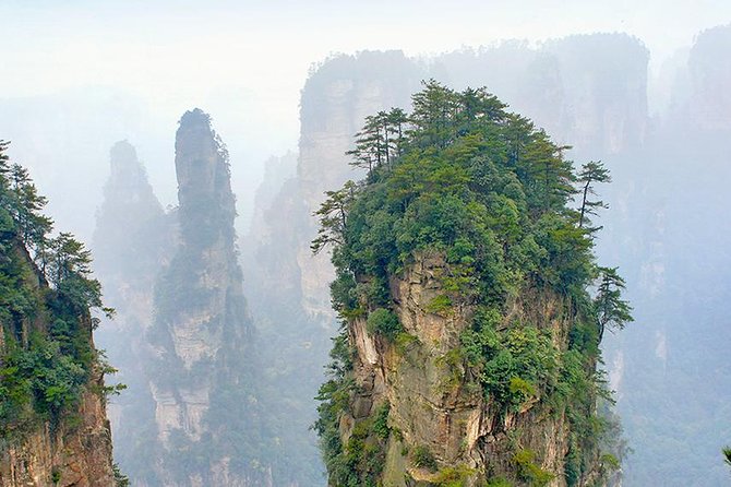 1-Day Private Tour to ZJJ National Forest Park & Avatar Mountain - Starting at Golden Whip Brook