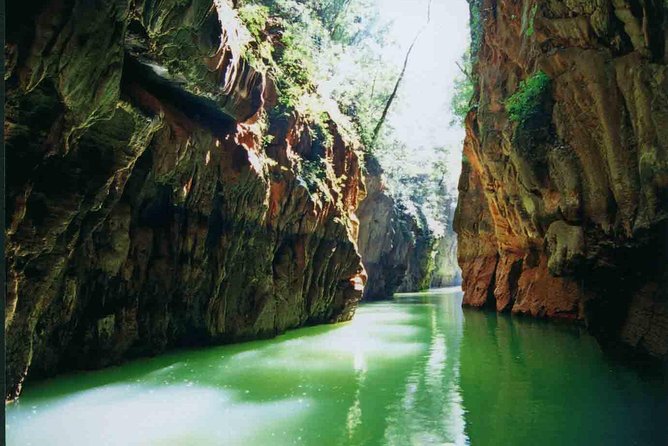 1 Day Stone Forest & Jiuxiang Cave Tour - Why this makes a strong Kunming day trip