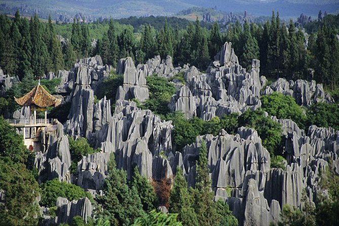 1 Day Stone Forest & Jiuxiang Cave Tour - Is $290 per person fair value?