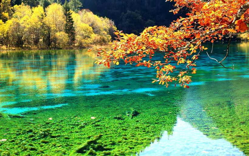 2 Day Chengdu to Jiuzhaigou&Huanglong Self-Guided w/Transfer - What the $386 price really covers
