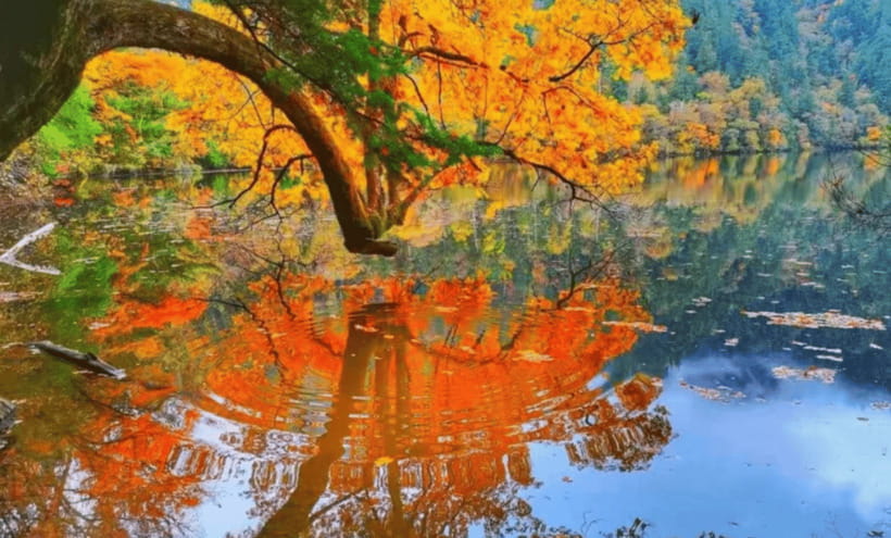 2 Day Chengdu to Jiuzhaigou&Huanglong Self-Guided w/Transfer - Overnight in Jiuzhaigou