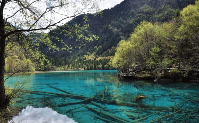 2 Day Chengdu to Jiuzhaigou&Huanglong Self-Guided w/Transfer - Private transfers, but not a private guided tour