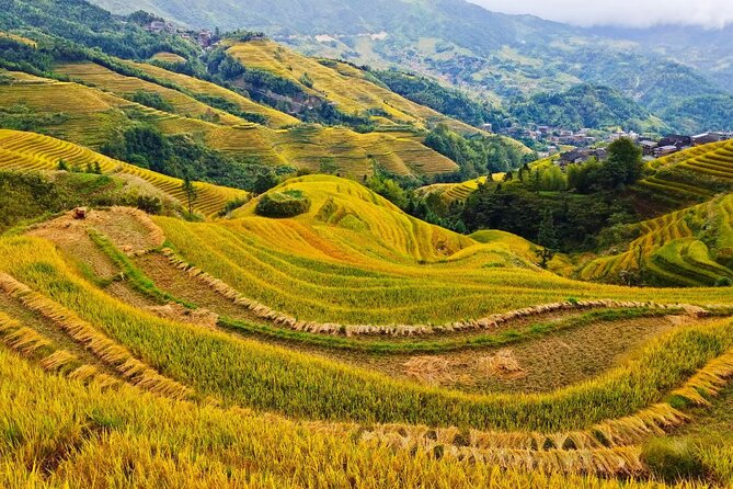 2 Day Guilin Highlights Li River Cruise and Longji Terraces Tour - Returning to Guilin after the terraces