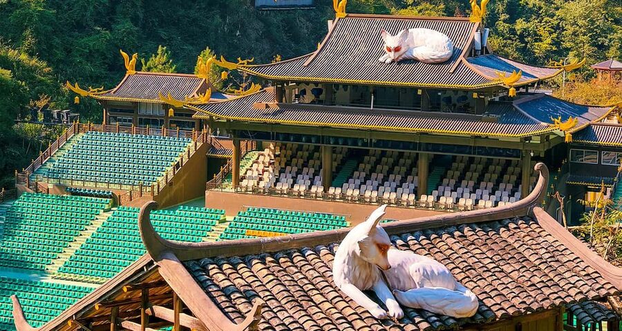 2-Day Private Zhangjiajie Tour Avatar Mountain, Glass Bridge - What to pack and how hard the days feel