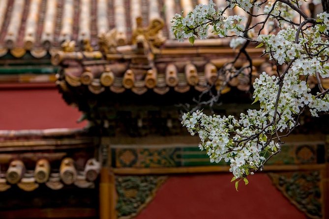 3-Day Private Beijing Tour with Forbidden City, Great Wall, Hutong and Lunch - Why the private format matters in Beijing