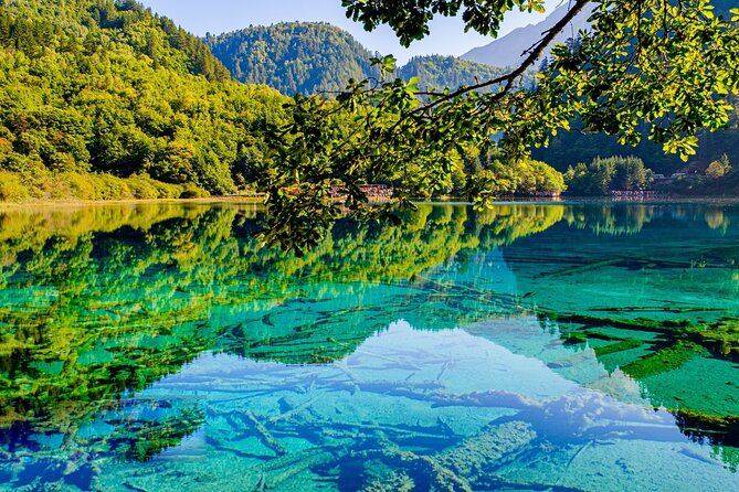 3 Day Private Tour to Jiuzhai Valley and Huanglong - Day 1: Pandas before the mountain road