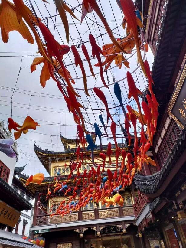 3-Hour Shanghai Street Food Tasting & Old Town Private Tour - The nine lucky zigzag bridge and lake tea house