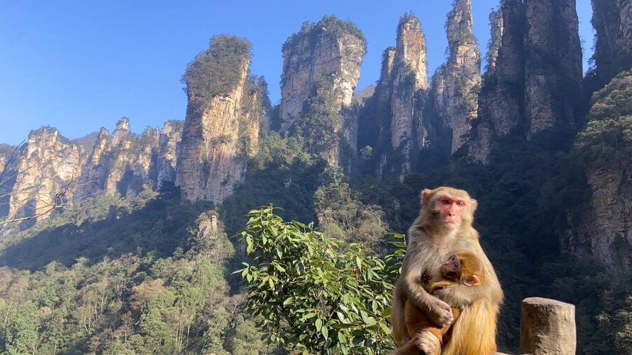 4-Day Highlights of Zhangjiajie With Sunrise Experience - FAQ