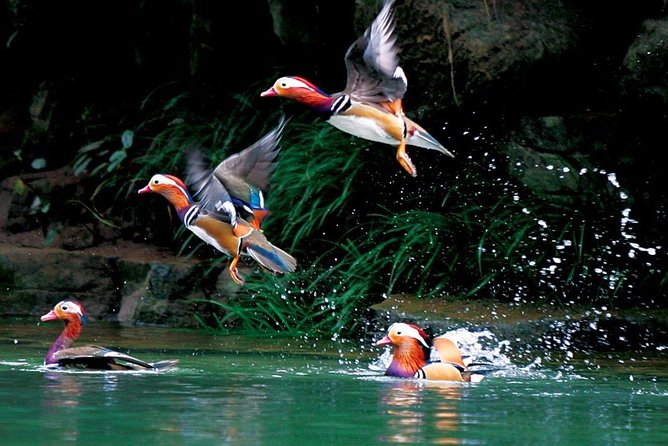 4-Day Zhangjiajie Tour to All Highlight Attractions with VIP Lift - Price, extra costs, and real value