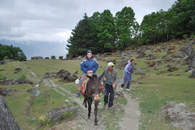 4 Days Haba Snow Mountain Climbing Tour (Lijiang-Shangri-La) - Day four: back to Lijiang