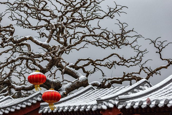 4-Hour Private Forbidden City Walking Tour with Bird's ViewOption - Climbing Jingshan Park for the roofline view