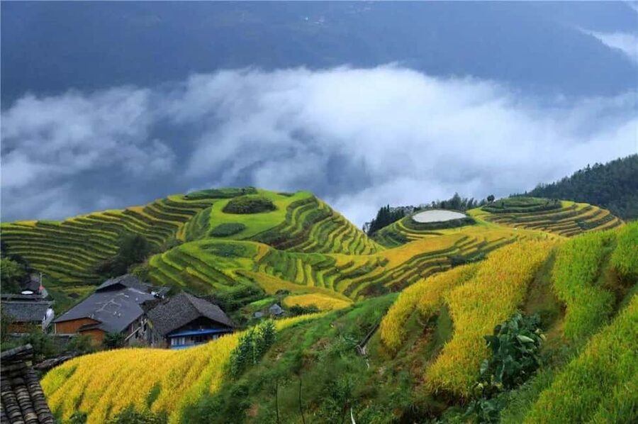 6-Day Private Tour: Guilin Terraces, Fenghuang & Zhangjiajie - Why this route works so well