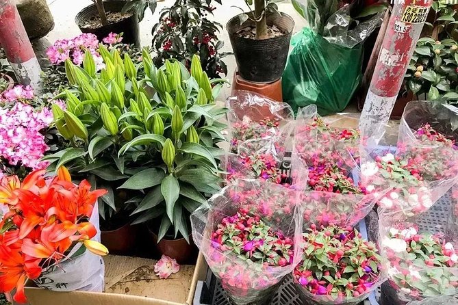 6-Hour Private Beijing Tour: Flower and Fish Market, Panjiayuan Antique Market and 798 Art Zone - Why a private guide changes the experience