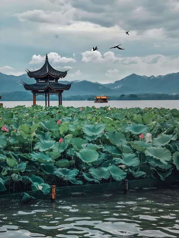 7 hours Hangzhou Tour Itinerary - West Lake by boat: Hangzhou’s essential first stop