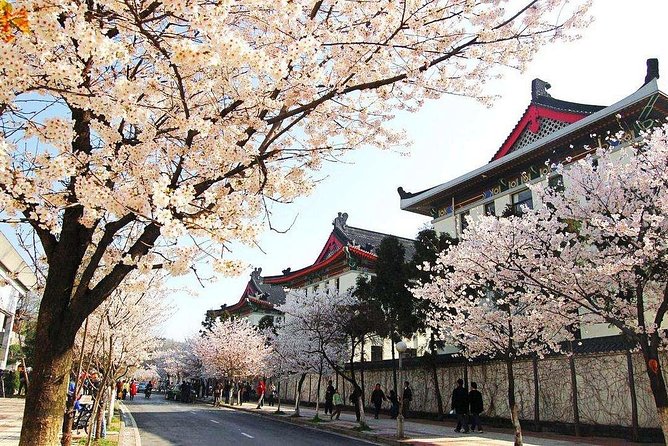 All Inclusive Nanjing City Private Day Tour with Tailor-Made Highlights - Purple Mountain and Sun Yat-sen’s Mausoleum