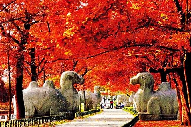 All Inclusive Nanjing City Private Day Tour with Tailor-Made Highlights - Xiaoling Tomb and the Ming imperial setting
