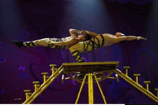 Beijing Acrobatic Show in Red Theater with Guide and Transfer - Who will enjoy this Beijing activity most?