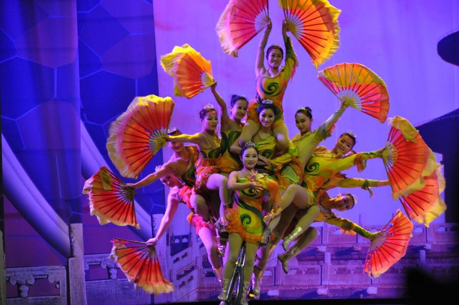 Beijing: Acrobatic Show with Peking Duck Dinner Private Tour - What your guide adds to the performance