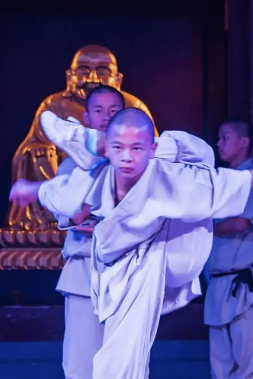 Beijing:Bullet Train Day Tour to Shaolin Temple&Martial Arts - The kung fu show puts action before history