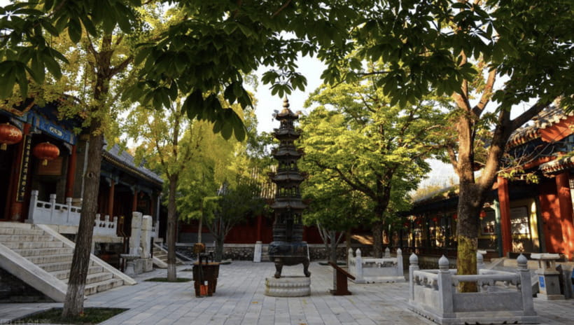 Beijing:Bullet Train Day Tour to Shaolin Temple&Martial Arts - The return to Beijing is practical, not leisurely