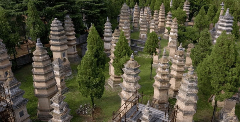 Beijing:Bullet Train Day Tour to Shaolin Temple&Martial Arts - Is the $348 price fair?