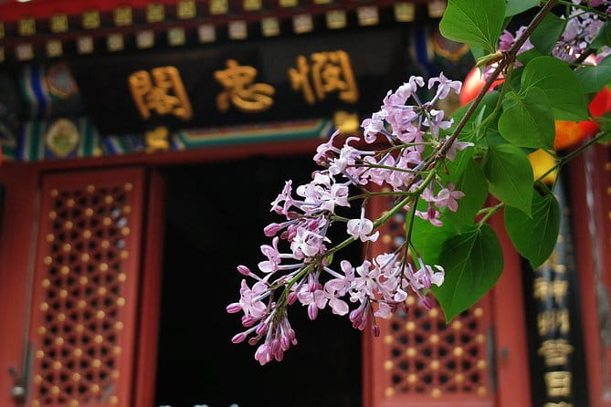 Beijing Forbidden City and Summer Palace Private Guide Tour - Who will get the most from this tour
