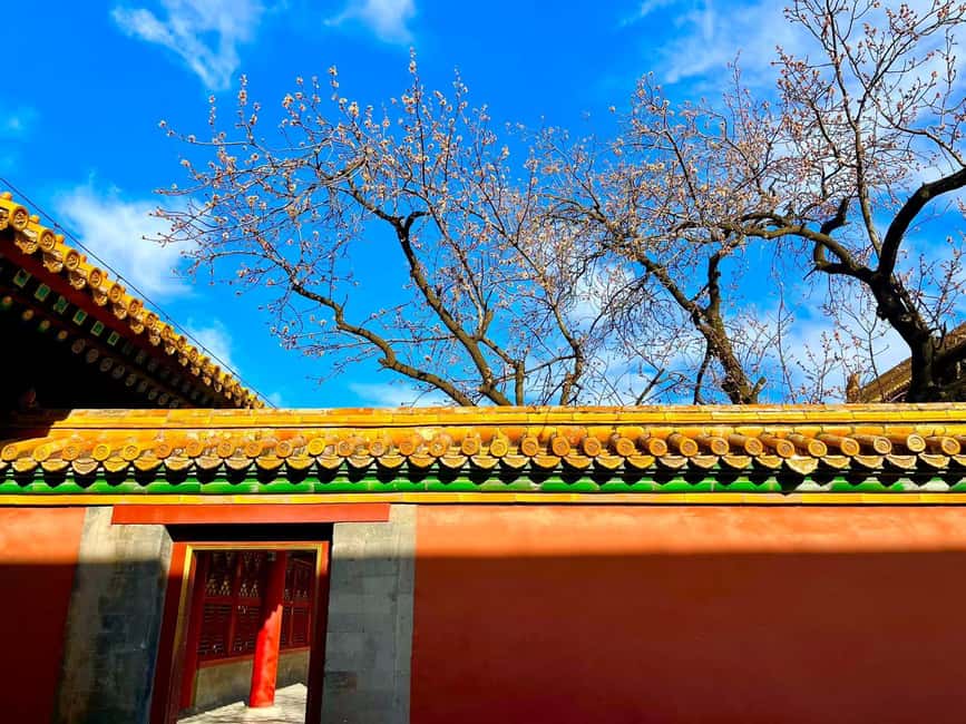 Beijing:Forbidden City--Reveal Secrets Behind Red Walls - The interactive game is more than a gimmick
