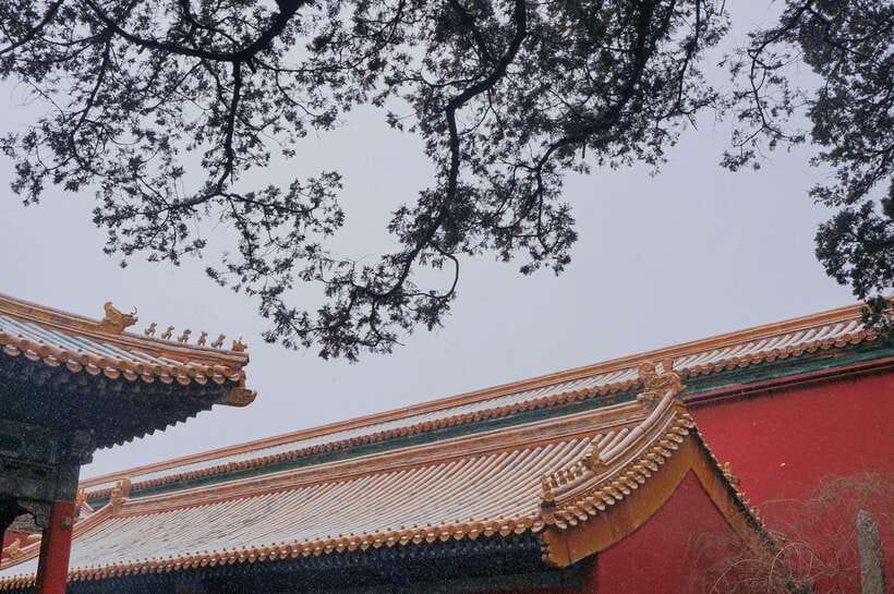 Beijing:Forbidden City & Tian'anmen Square with entry ticket - How to choose among the five options
