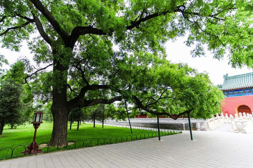 Beijing：Forbidden City Tour—Temple, Summer Palace&Great Wall - Mutianyu Great Wall for a city-and-country contrast