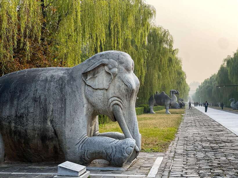Beijing: Great Wall and Ming Tomb All-inclusive Private Tour - Lunch near the Great Wall