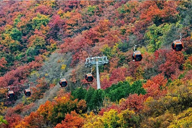 Beijing Great Wall Private Day Tour from Shanghai by Bullet Train - The 6 a.m. hotel pickup in Shanghai