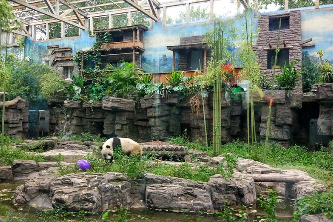 Beijing Half-Day Private Customized Tour: Visit Your Dream Spots - Why a custom Beijing tour can make sense