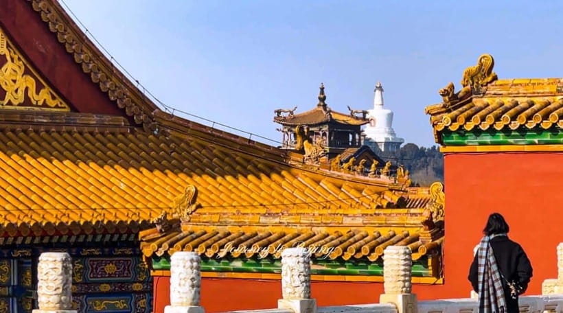 Beijing: Highlights of Forbidden City Private Walking Tour - Guides who add the most value