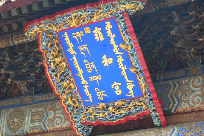Beijing Historical Tour II including Summer Palace, Lama Temple & Panda Garden - Panda Garden: a short visit with high appeal