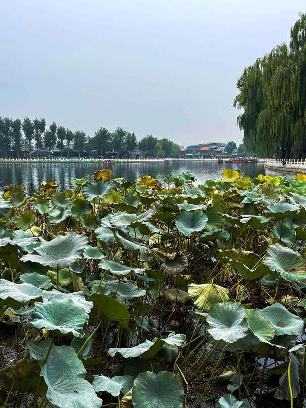 Beijing: Hutongs & Drum Tower City Walking Tour - Yandai Byway and the snack stop