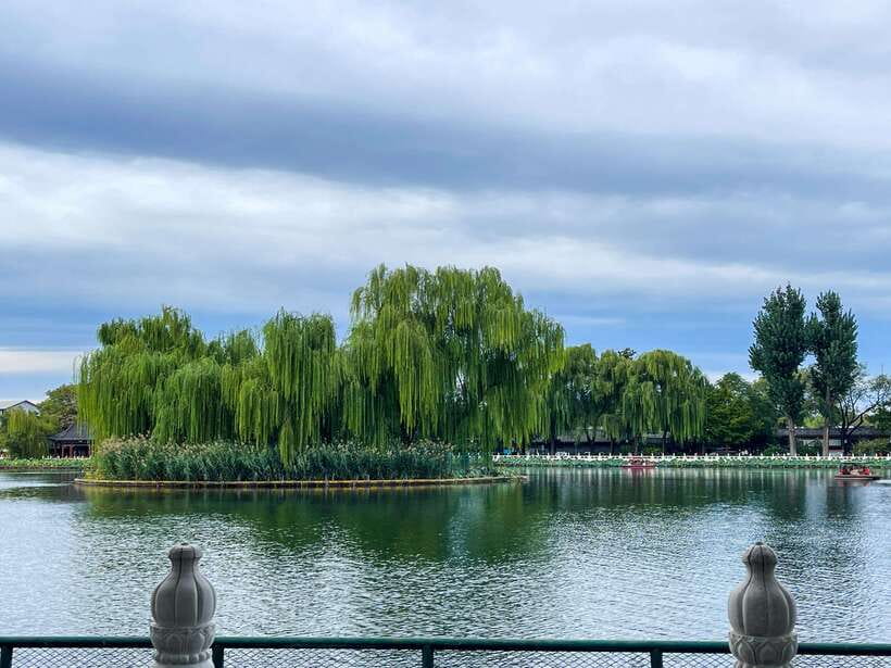 Beijing: Hutongs & Drum Tower City Walking Tour - The guides are the main strength