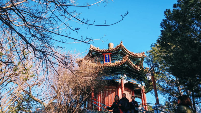Beijing: JingShan park (palace museum garden) entry ticket - Flowers, old trees, and a slower pace