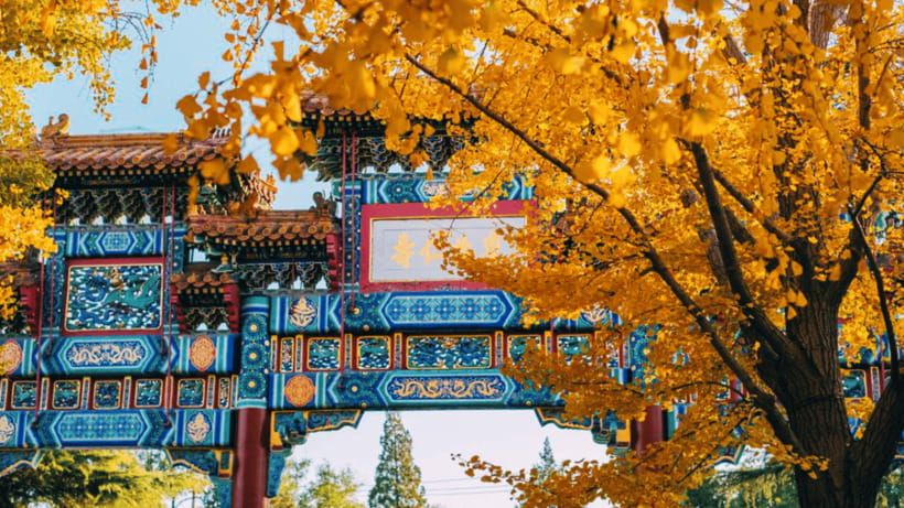 Beijing: Lama Temple (Yonghe Temple) Admission Ticket - The Four Learning Halls and the exhibition rooms