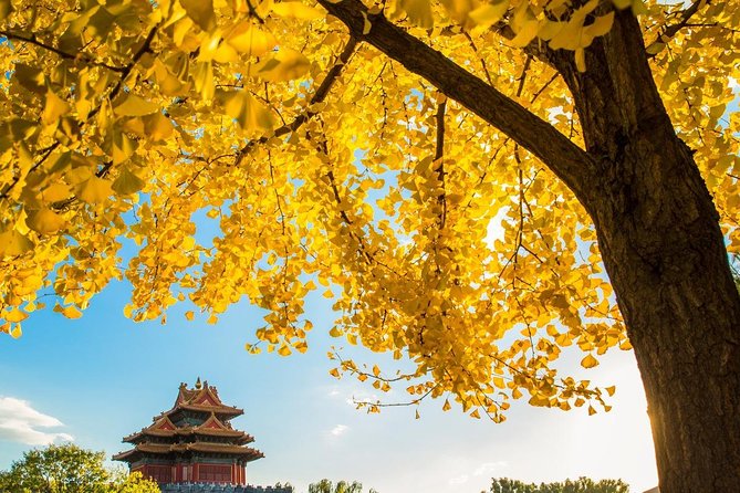 Beijing Layover Tour to Tiananmen Square and Forbidden City - Who Should Book This Experience