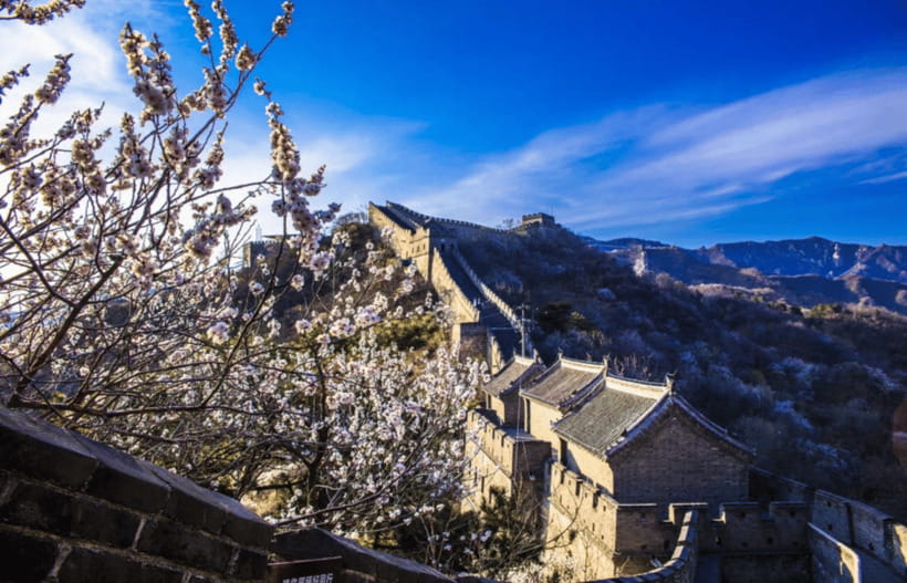 Beijing Mutianyu Great Wall&ForbiddenCity All Inclusive Tour - What Private Transport Really Adds