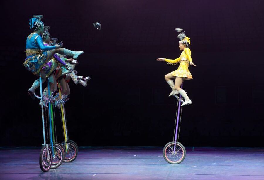 Beijing Night Tour with Acrobatics Show & PekingDuck Dinner - Private-group service and language choices